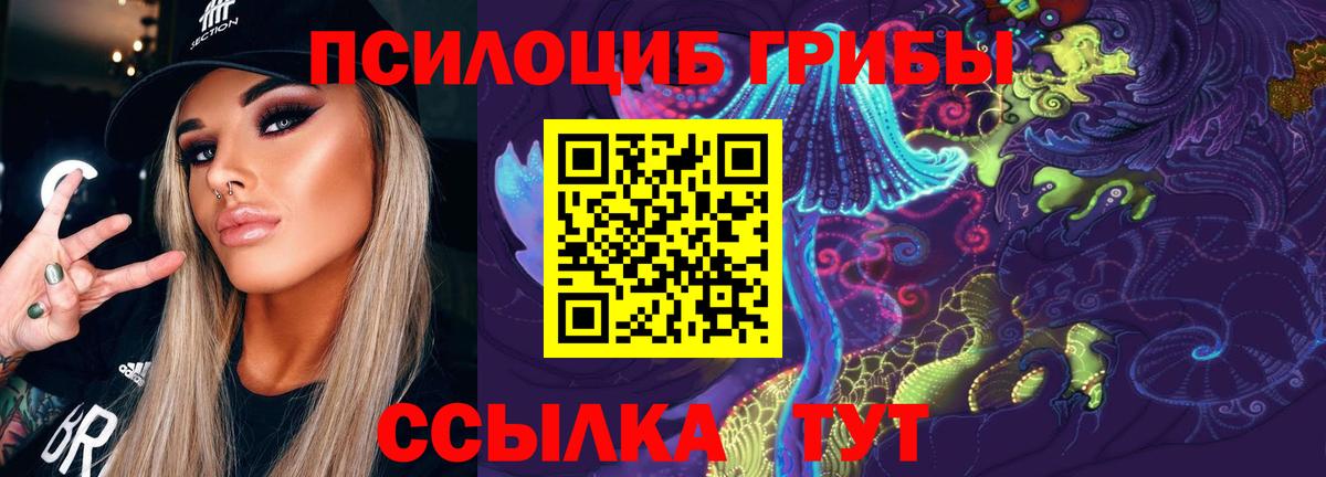 Псилоцибиновые грибы GOLDEN TEACHER  Вход с VPN  Будённовск 