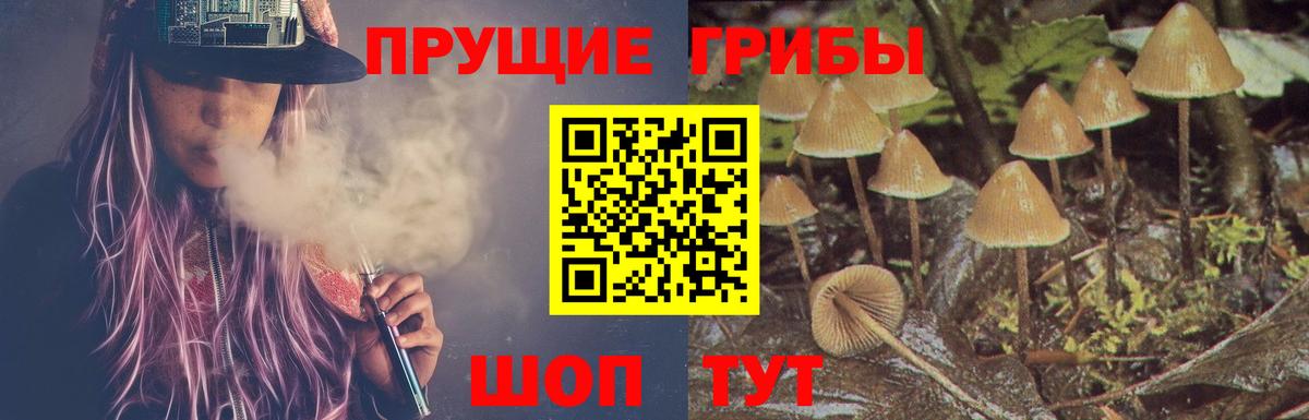 Галлюциногенные грибы прущие грибы Будённовск